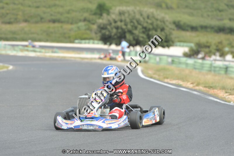 DSC (3892).JPG